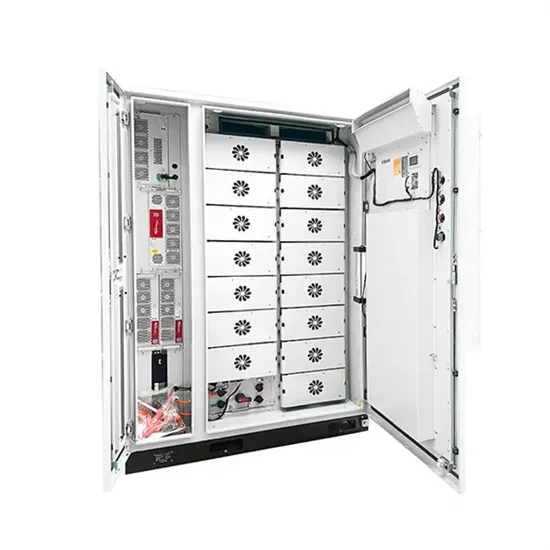 Government new energy storage project name