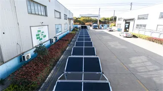 What Does many Mean? Definition & Examples | Dictionary