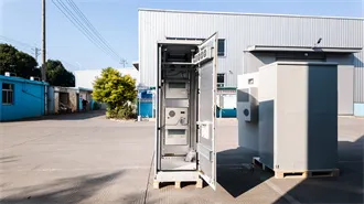 World Environment Day 2024: 17 megadiverse countries | World