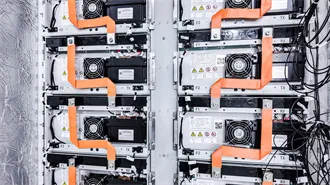 MANY Definition & Meaning | Dictionary