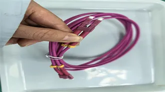 A New South Carolina Law Would Severely Crack Down on Wholesaling