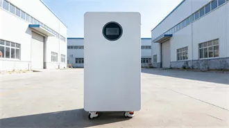 Guyana launches search for missing pilot after plane crash | AP News