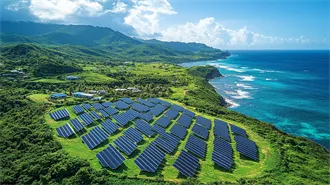 Small Solar Lights Outdoor | Garden & Pathway LED Lighting