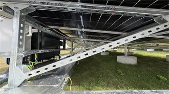 Dinosaurs 101 | National Geographic