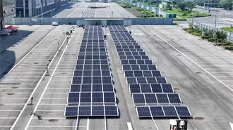 What does much mean?