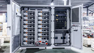 IB Biology IA examples