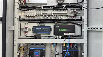 DOES definition and meaning | Collins English Dictionary