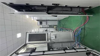 Grammar: When to Use Do, Does, and Did