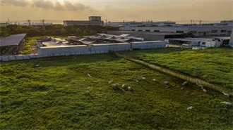 Solar Battery Enclosures: How to Choose the Right